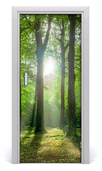 Naklejka fototapeta na drzwi Słońce w lesie