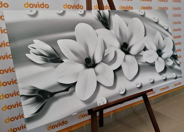 Obraz luksusowa magnolia z perłami w wersji czarno-białej