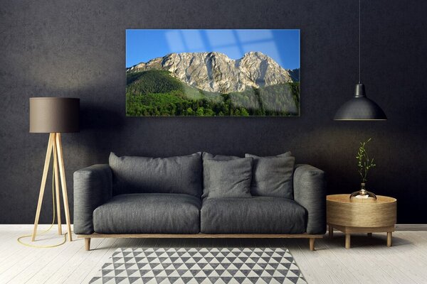 Obraz na Szkle Góra Las Natura
