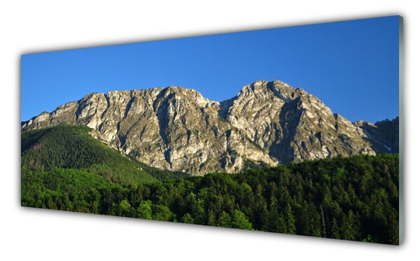 Obraz na Szkle Góra Las Natura