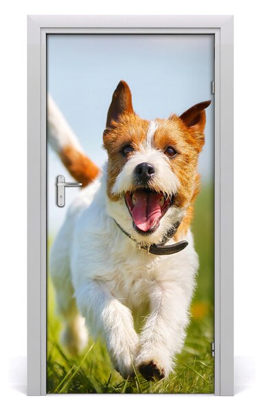 Naklejka samoprzylepna na drzwi Pies Jack Russell