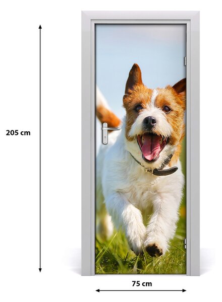Naklejka samoprzylepna na drzwi Pies Jack Russell