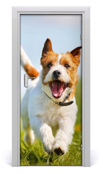 Naklejka samoprzylepna na drzwi Pies Jack Russell
