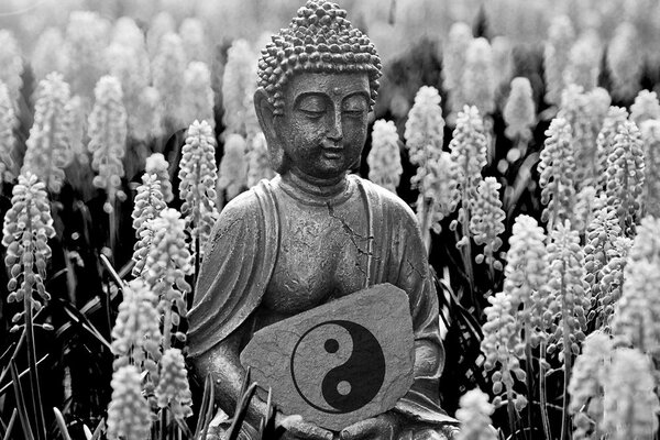 Obraz Yin i yang Budda w wersji czarno-białej