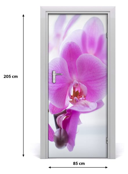 Okleina Naklejka fototapeta na drzwi Różowa orchidea