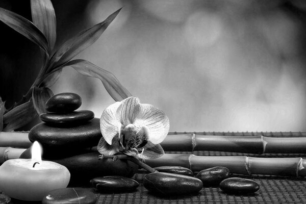 Obraz harmonia Feng Shui w wersji czarno-białej
