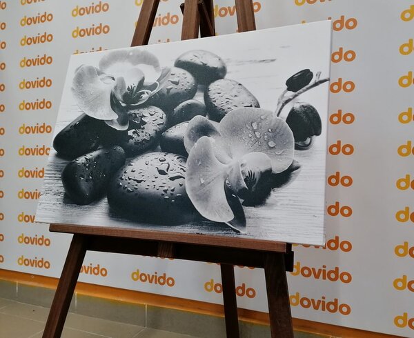 Obraz piękne połączenie kamieni i orchidei w wersji czarno-białej