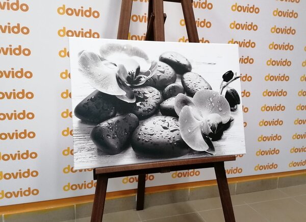Obraz piękne połączenie kamieni i orchidei w wersji czarno-białej