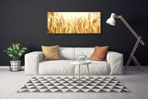 Obraz canvas Dojrzałe Kłosy Zboża