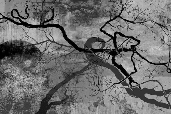 Obraz surrealistyczne drzewa w wersji czarno-białej