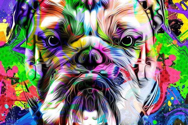 Obraz buldog pop-art