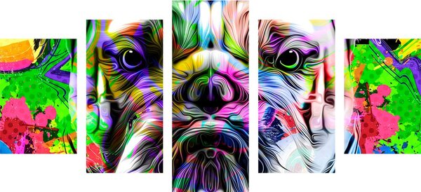 5-częściowy obraz buldożek pop-art