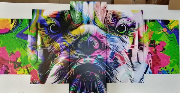 5-częściowy obraz buldożek pop-art