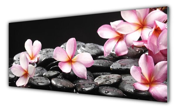 Obraz Szklany Kwiat Plumeria na Ścianę