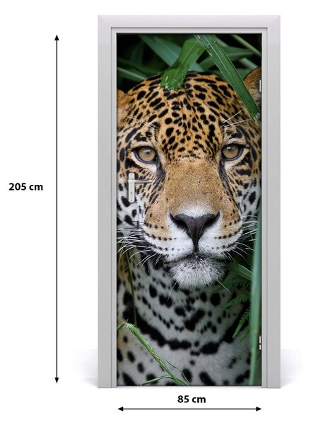 Fototapeta samoprzylepna na drzwi Jaguar w amazoni