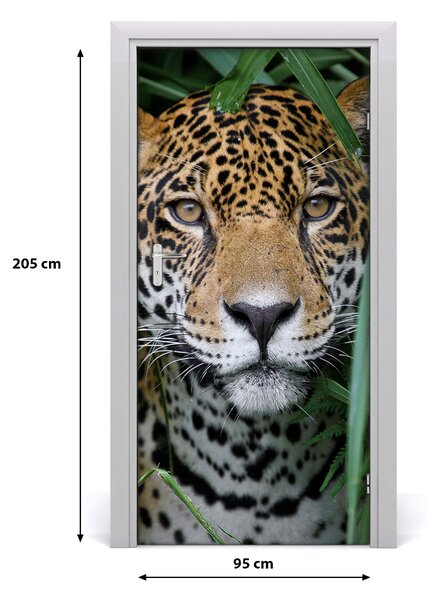 Fototapeta samoprzylepna na drzwi Jaguar w amazoni