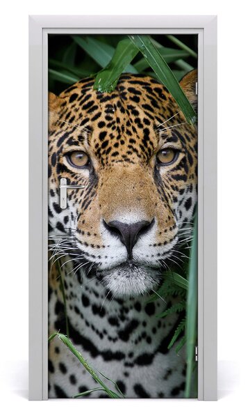Fototapeta samoprzylepna na drzwi Jaguar w amazoni