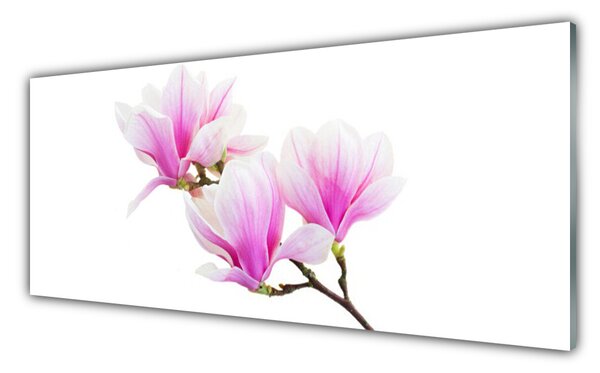 Obraz Szklany Kwiaty Roślina Natura