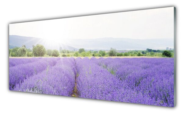Obraz Szklany Pole Lawendy Natura Łąka