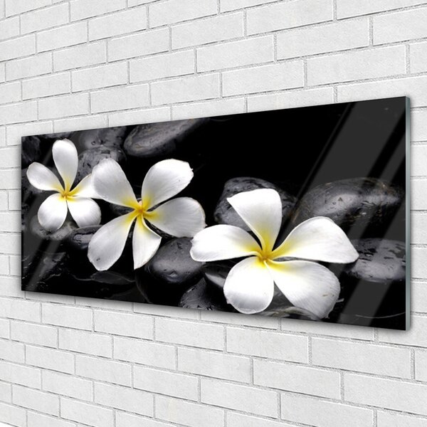 Obraz na Szkle Kwiat Plumeria Roślina