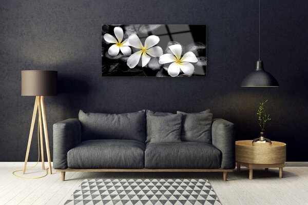 Obraz na Szkle Kwiat Plumeria Roślina