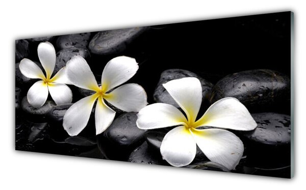 Obraz na Szkle Kwiat Plumeria Roślina
