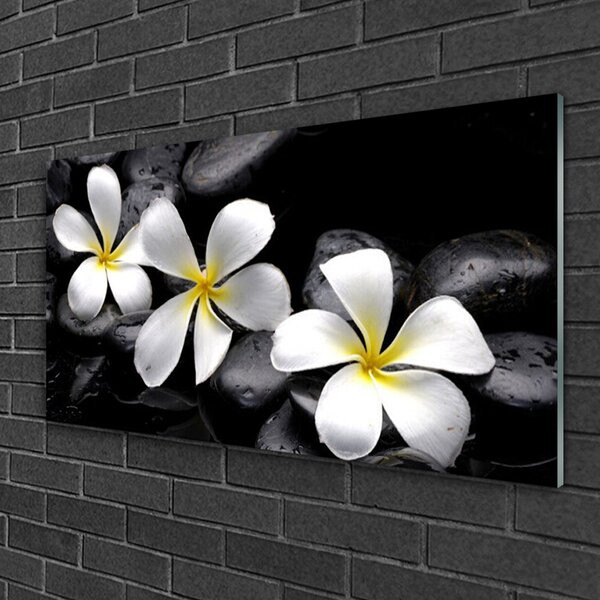 Obraz na Szkle Kwiat Plumeria Roślina