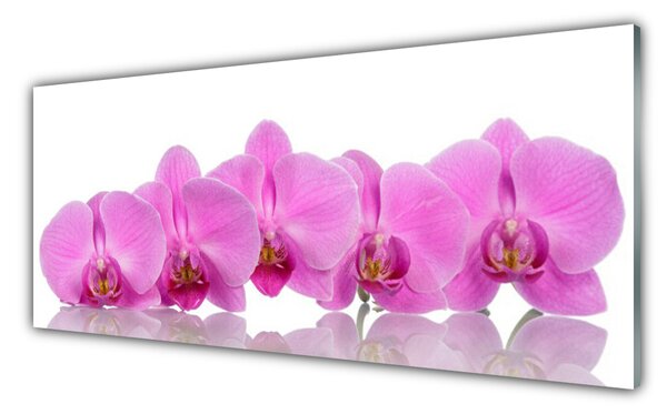 Obraz Szklany Różowa Orchidea Kwiaty