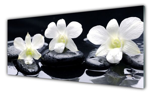 Obraz na Szkle Orchidea Kamienie Roślina