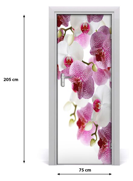 Nalepka Naklejka fototapeta na drzwi Orchidea