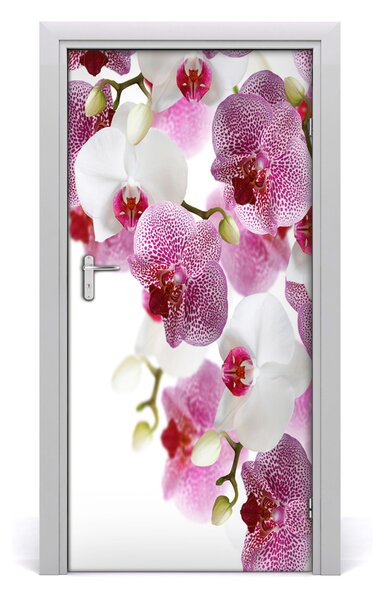 Nalepka Naklejka fototapeta na drzwi Orchidea