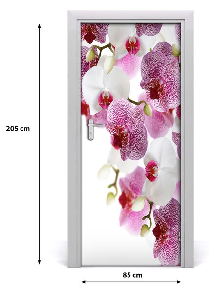 Nalepka Naklejka fototapeta na drzwi Orchidea