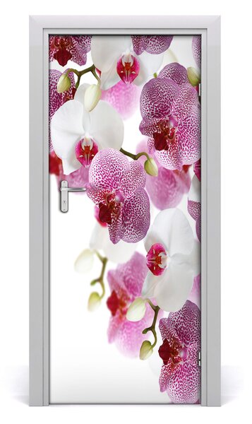 Nalepka Naklejka fototapeta na drzwi Orchidea