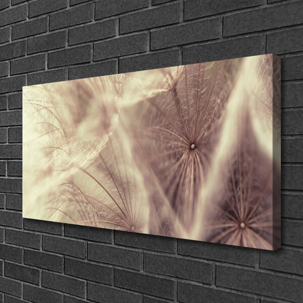 Obraz canvas Złocisty Mniszek w Polu
