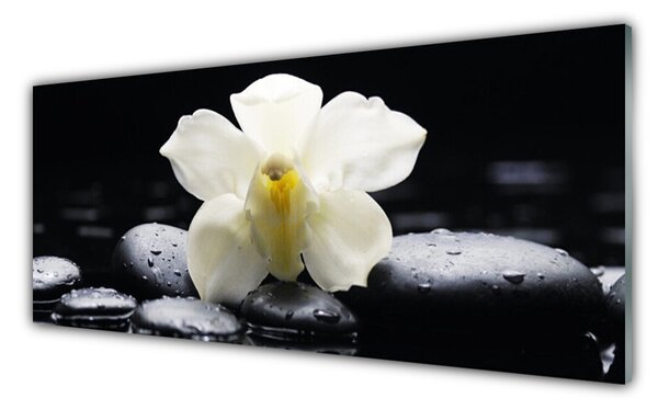 Obraz Szklany Kwiat Orchidea Roślina