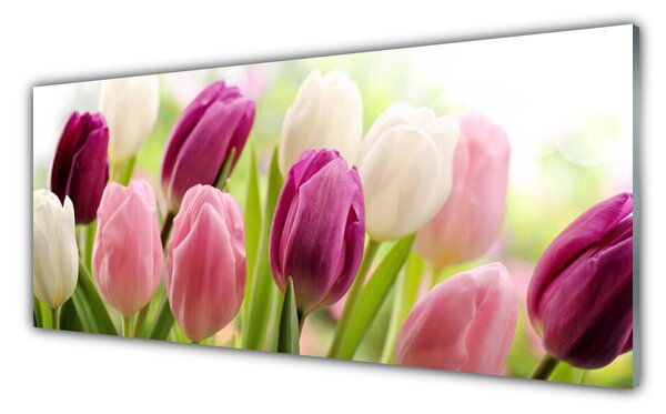 Obraz Szklany Tulipany Kwiaty Natura Łąka