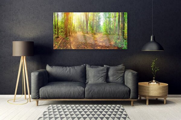 Obraz Szklany Słońce Natura Ścieżka Leśna