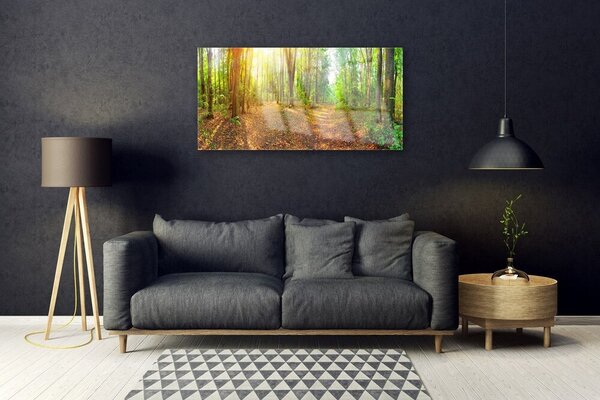 Obraz Szklany Słońce Natura Ścieżka Leśna