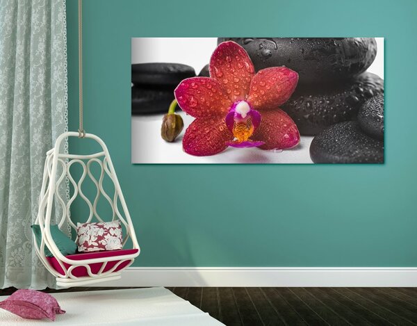 Obraz orchidea i kamienie Zen na białym tle