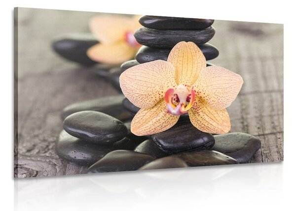 Obraz żółta orchidea i kamienie Zen