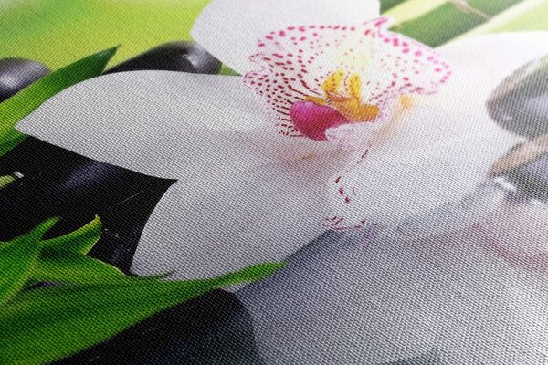 Obraz orchidea z motywem japońskim