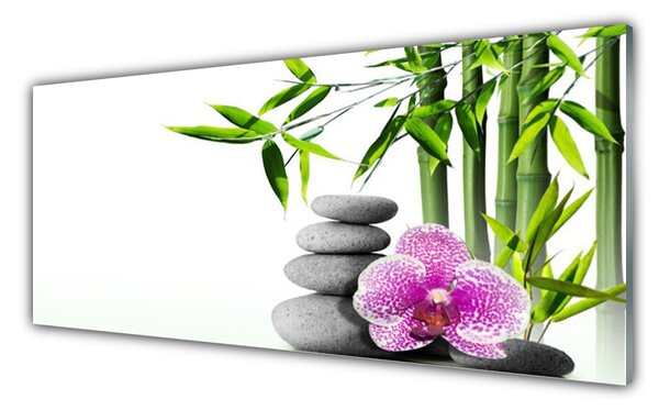 Obraz Szklany Bambus Spa Zen Sztuka