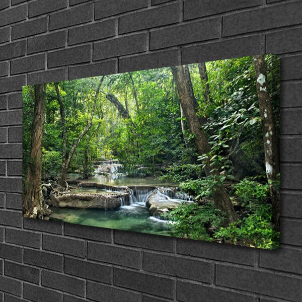 Obraz canvas Tajemniczy Bór w Gęstwinie