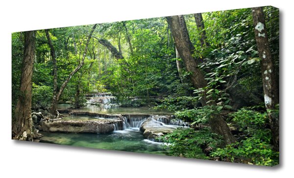 Obraz canvas Tajemniczy Bór w Gęstwinie