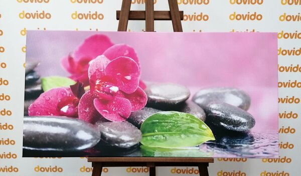 Obraz orchidea z nutą relaksu