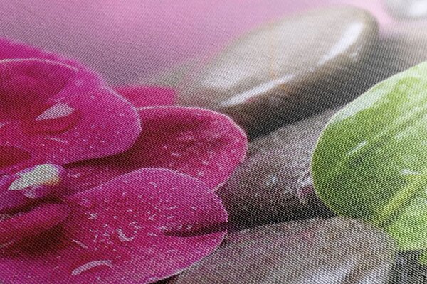 Obraz orchidea z nutą relaksu