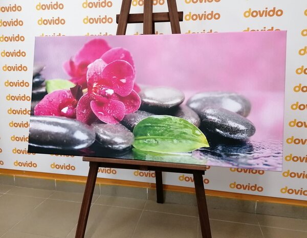Obraz orchidea z nutą relaksu