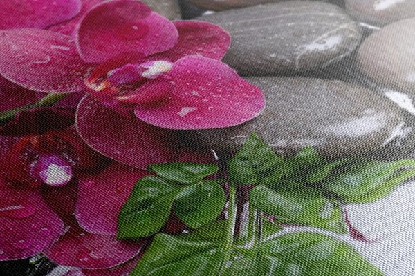 Obraz kwitnąca orchidea i kamienie wellness