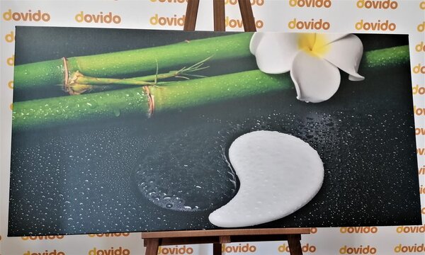 Obraz martwa natura spa z symbolem Yin i Yang
