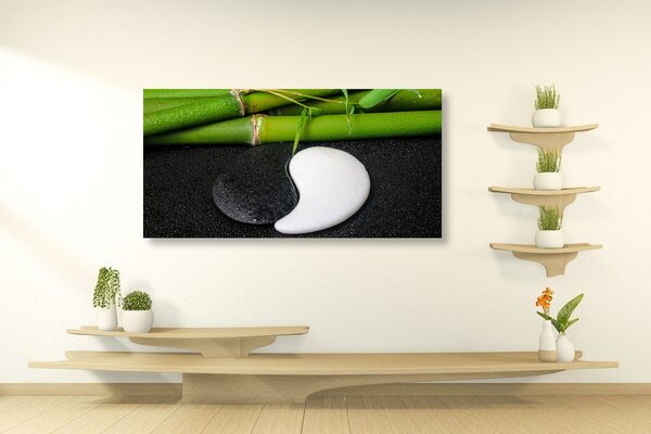 Obraz symbol Yin i Yang
